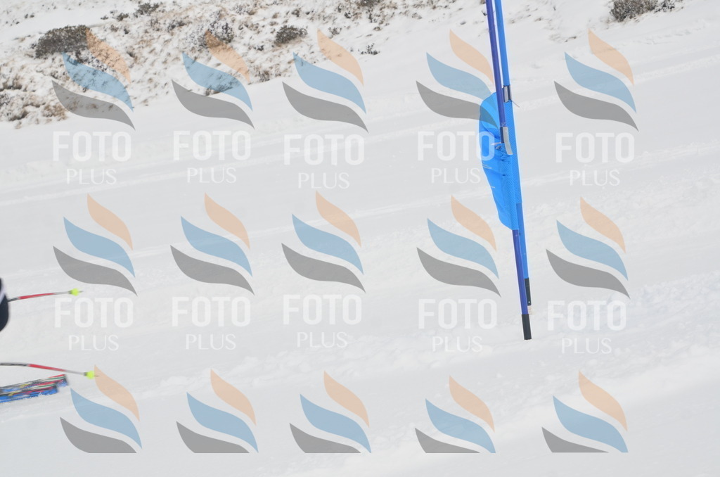 A5177 | holidayphoto