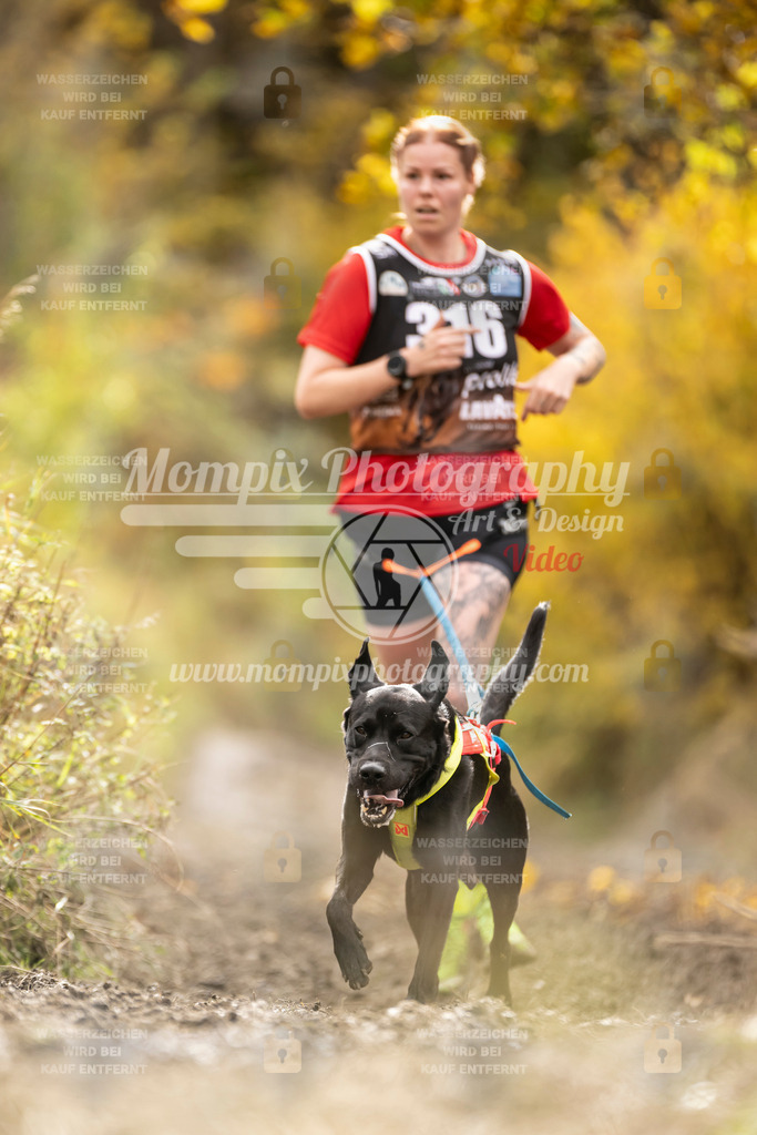 MompixPhotography_ICF_WC_2024_SA_Run_-215 | PayLife