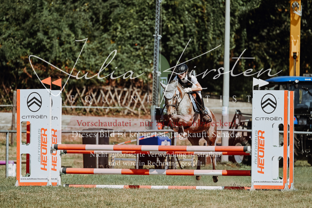 DSC_9760 | Pferde- und Turnierfotografie in Westsachsen. Pferdeportraits, Auftragszeichnungen und intuitive Kunst.