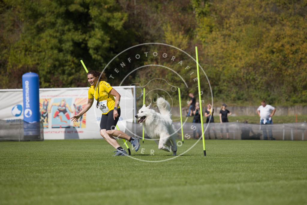 0L8A2986 | Hundefotografie, Tierfotograf, Pfotenfotografie, Fotoshooting Hund, Hunde Portrait, Hundesport, Hundeportraits, Heideshooting, Hunde, Sportfotograf, Hundefotograf, Turnierhundsport, THS,  - Realisiert mit Pictrs.com