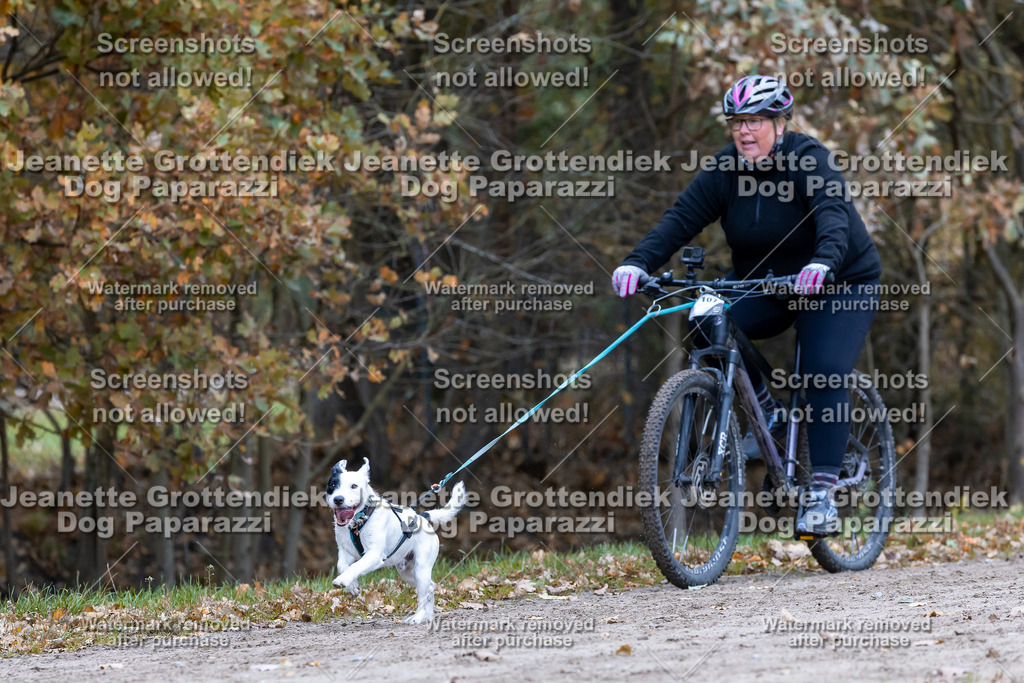 Dog Paparazzi - SD CaniX Championship 2025-603 | Dog Paparazzi Jeanette Grottendiek Fotografie & Videografie - Realisiert mit Pictrs.com