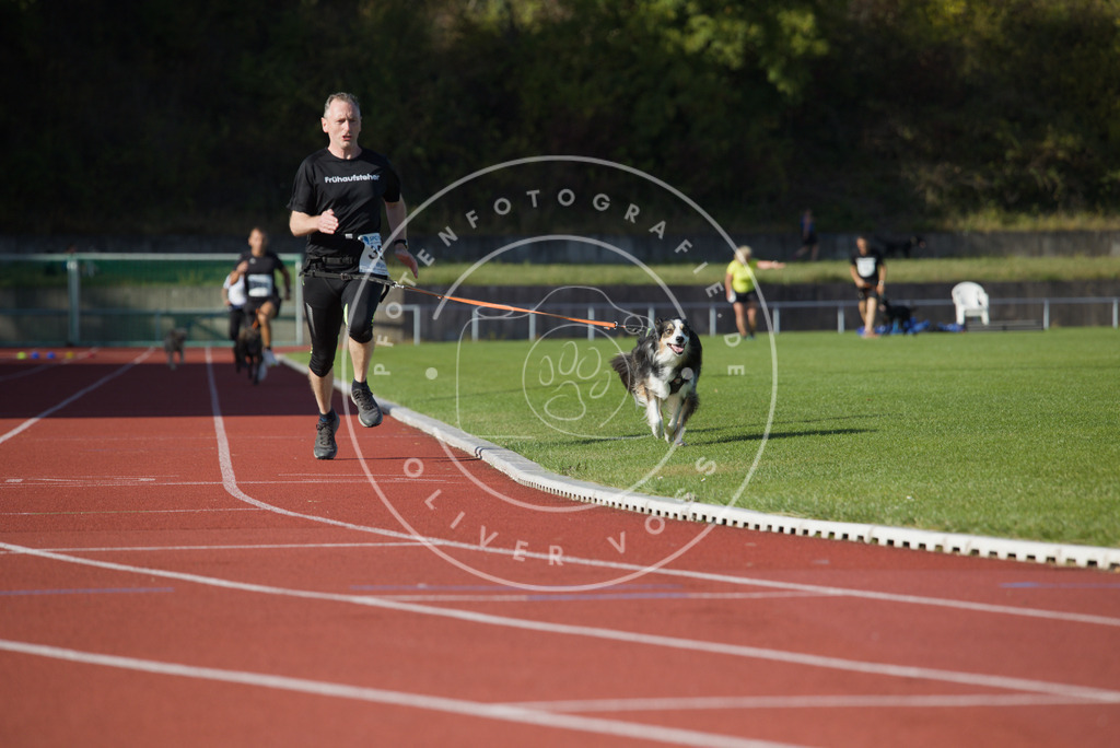 0L8A0013 | Hundefotografie, Tierfotograf, Pfotenfotografie, Fotoshooting Hund, Hunde Portrait, Hundesport, Hundeportraits, Heideshooting, Hunde, Sportfotograf, Hundefotograf, Turnierhundsport, THS,  - Realisiert mit Pictrs.com