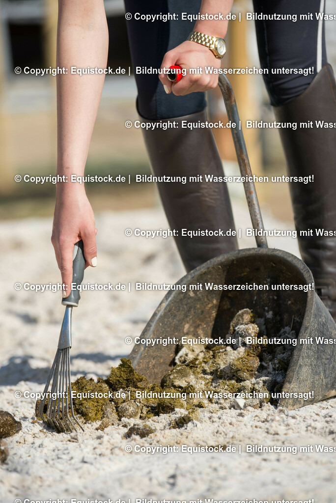 20160421_Reitplatzpflege_0008 | equistock
