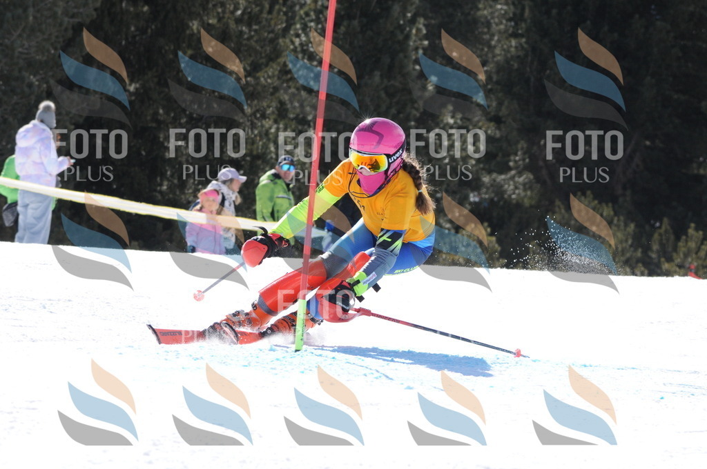 C8854 | holidayphoto