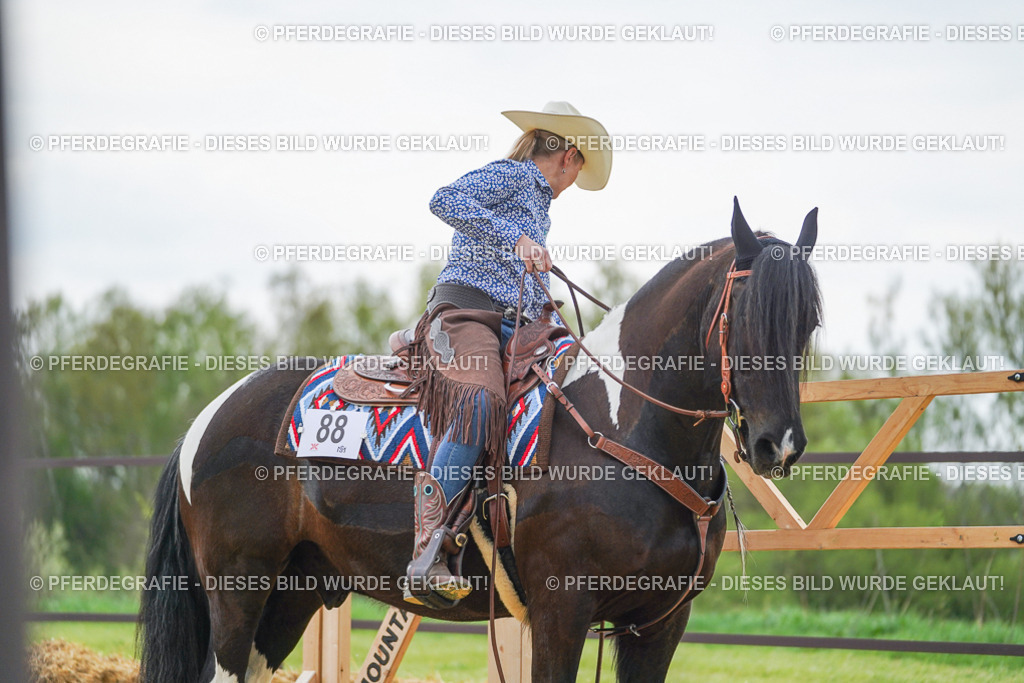 DSC08014 | Pferdegrafie