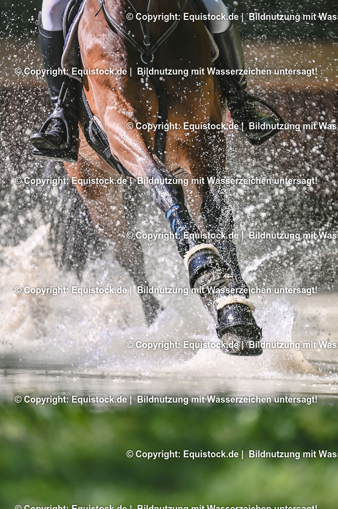 TS_20250517_CCI2_Gelände_0804 | Foto: Thomas Hartig