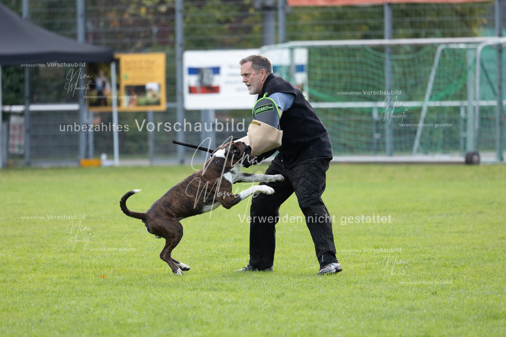 _16A6544 | Einzigartige Fotos von Hunden & Menschen –Actionfotos, Portraits, Vereinsaufnahmen & Paarshootings – authentisch, lebendig & mit Herz.