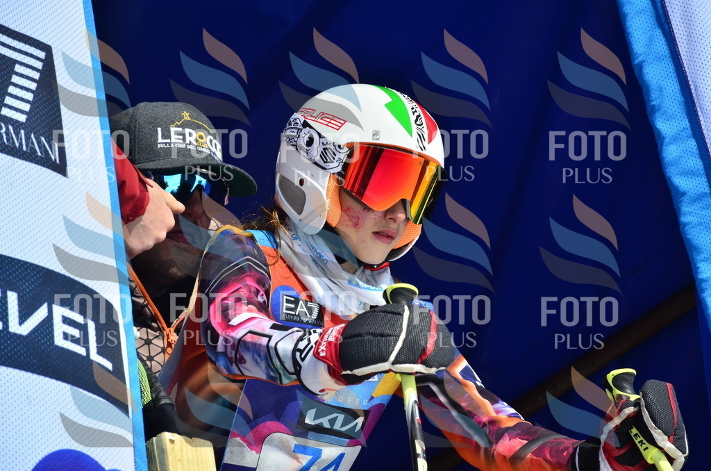 _ELE0358 | holidayphoto