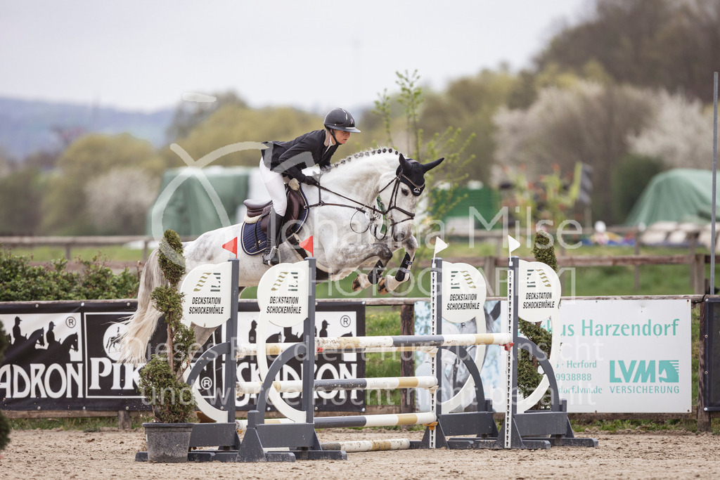 250417_Springpferde-A1-105 | Deine schönsten Turniermomente als professionelle Fotos! Entdecke hochwertige Pferdesport-Fotografie im Online-Shop. Jetzt Fotos finden & bestellen!