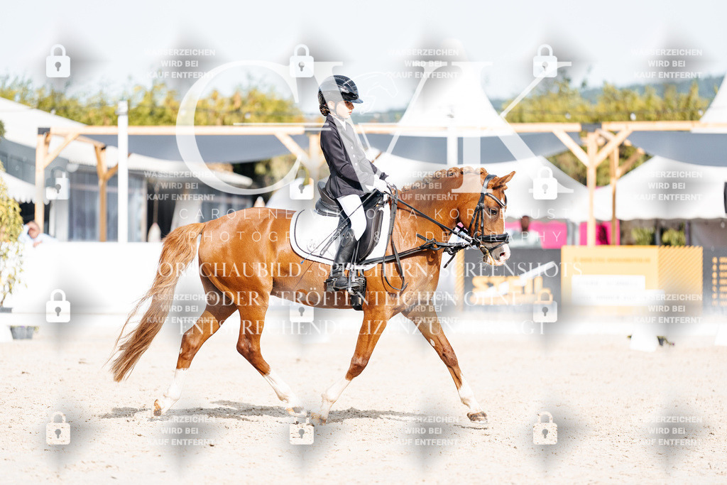 CK905253 | Turnierfotografie Pferdefotografie Trier Rheinland-Pfalz Pferdesport Reitsport Tierfotografie Sportfotografie Pferdevideo Pferdevideografie Equestrianvideography equestrianphotography  - Realisiert mit Pictrs.com