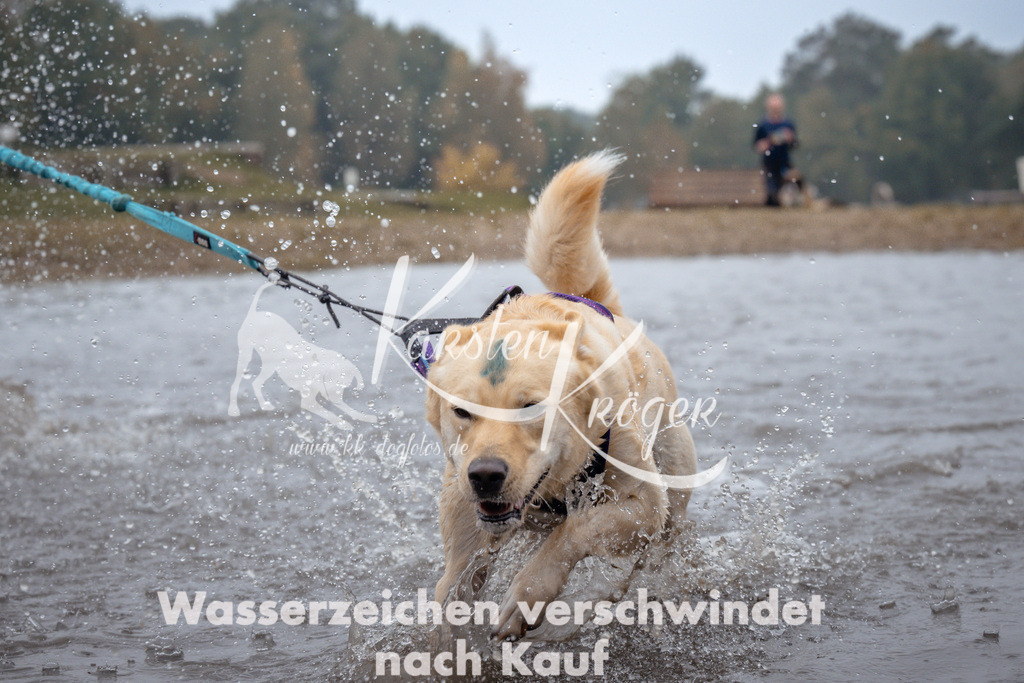 1017_ZZ99002 | kk-dogfotos