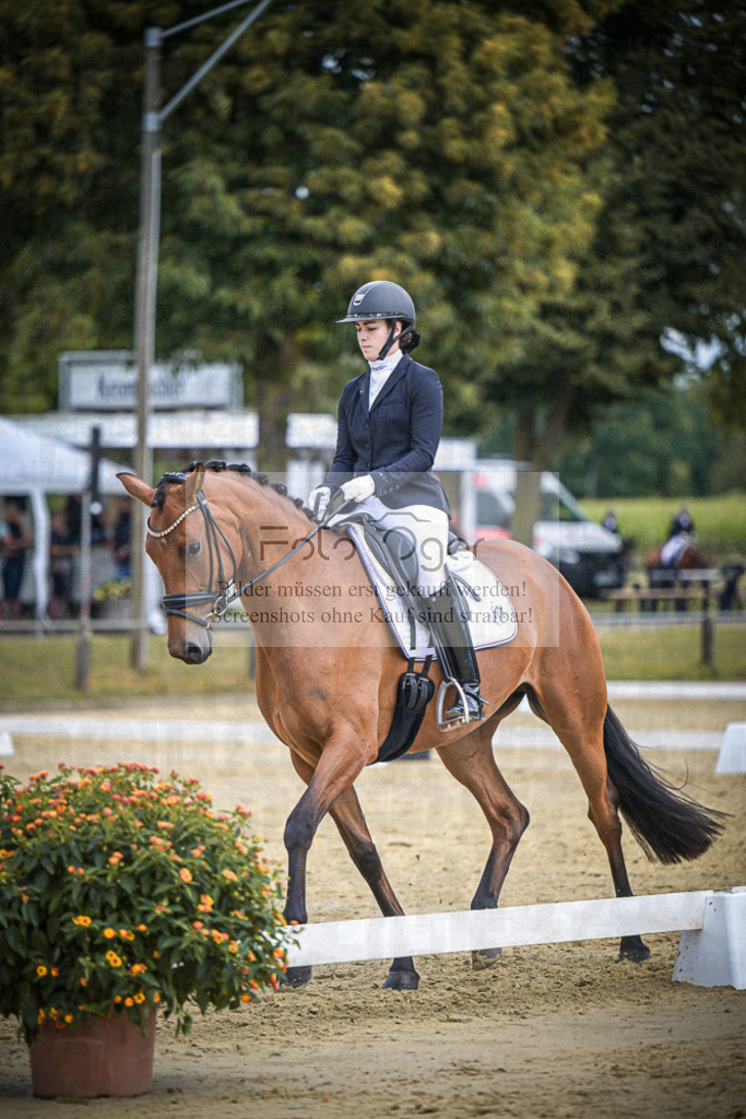 DOS_8912 | Entdecke hochwertige Reitturnierfotos von Foto Oger. Professionell, emotional und authentisch – jetzt Lieblingsmomente im Shop bestellen.Deutschlandweite Turnierfotografie. - Realisiert mit Pictrs.com