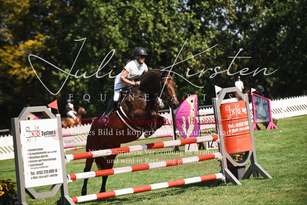 DSC_2726 | Pferde- und Turnierfotografie in Westsachsen. Pferdeportraits, Auftragszeichnungen und intuitive Kunst.