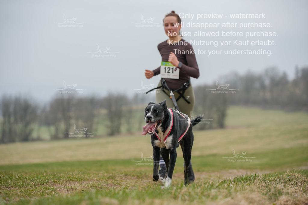 Canixlong-163 | stephaniefillaphotographie - Realisiert mit Pictrs.com