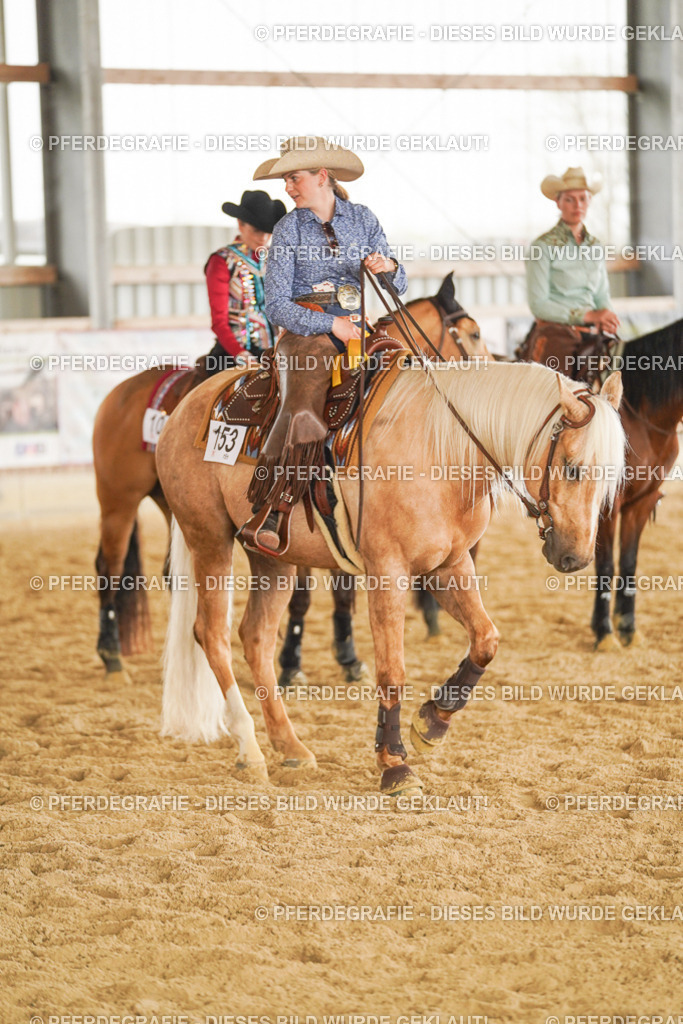 DSC06486 | Pferdegrafie