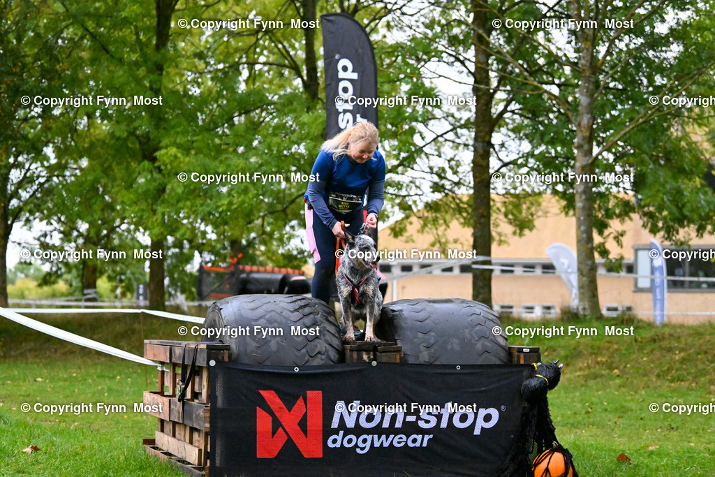 DSC_1571 | Hallo und herzlich Willkommen auf meiner Shop-Seite Fynn Most.

Ich wünsche Dir viel Spaß beim stöbern durch die Bilder, wenn Du Fragen hast oder Bilder vermisst, kannst du mir gerne eine Nachricht schreiben. - Realisiert mit Pictrs.com