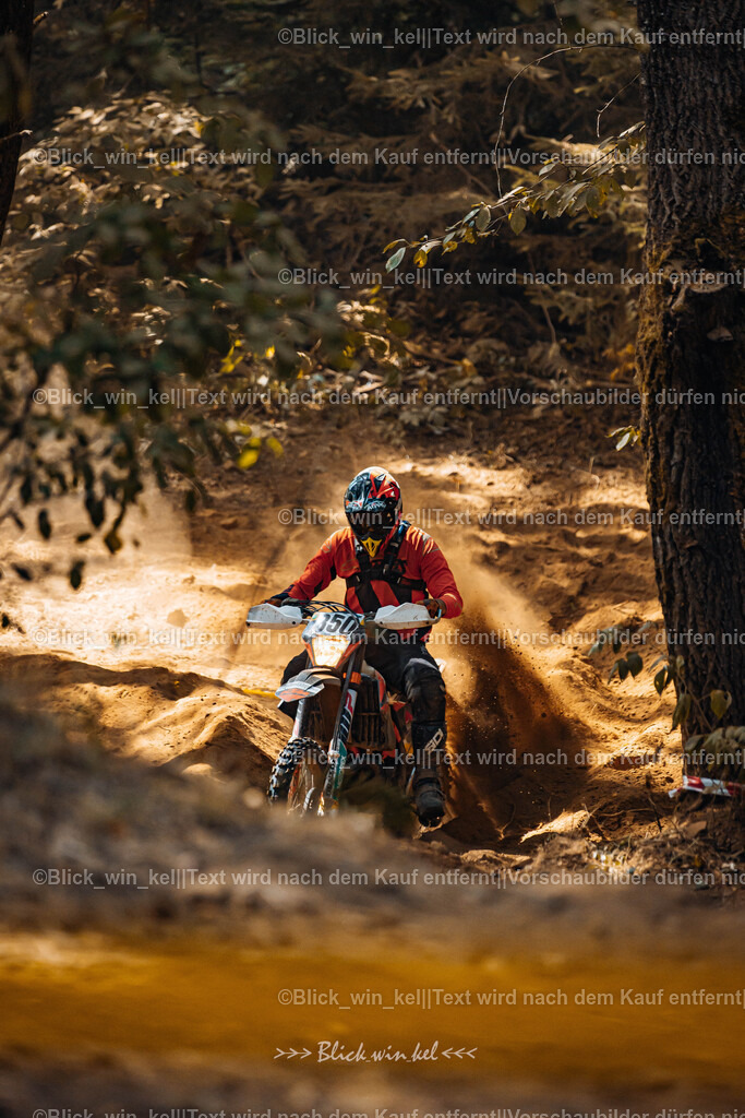 E68A6381 | blick_win_kel