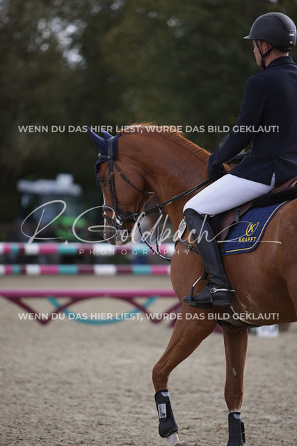 1J2A4814Claas Hermann Romeike_ Unikat 39_ Kn950_ Havekost | Foto- und Videografie für alles rund ums Pferd. Hochwertige Bilder und Videos vom Spring- und Dressurreiten, Voltigieren & mehr. Jetzt aktuelle Veranstaltungen und Preise im Shop ansehen. - Realisiert mit Pictrs.com