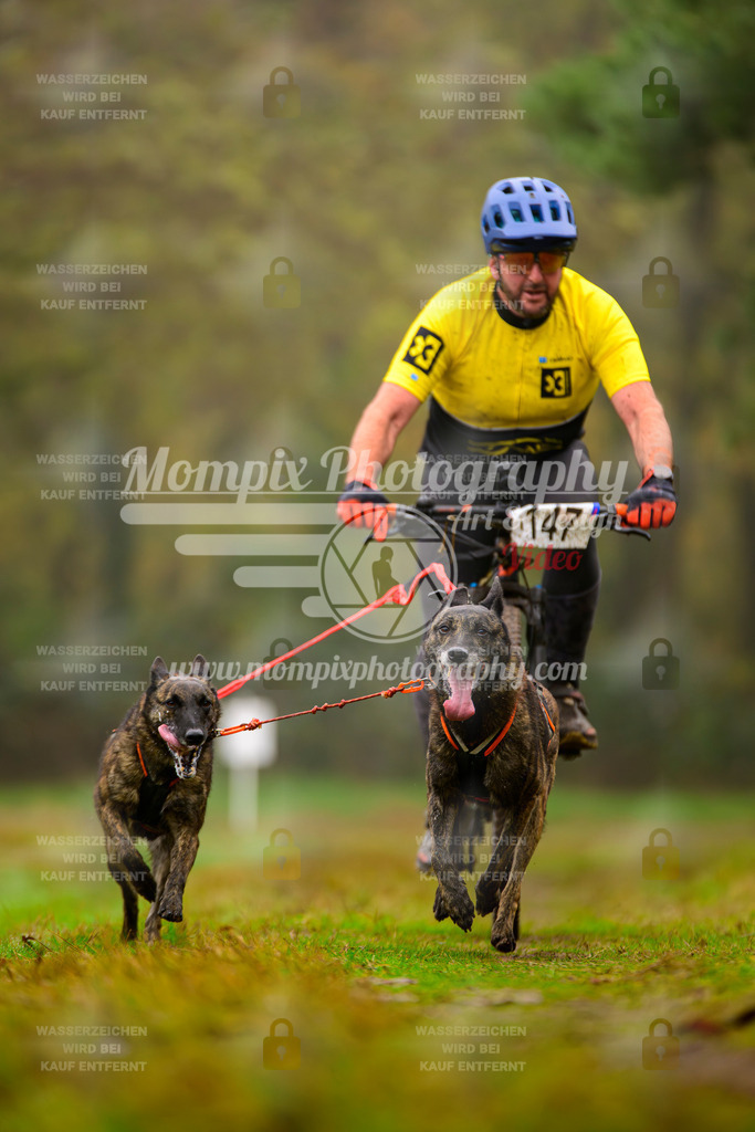MompixPhotography_Bischwiller2025_Bike-129 | mompixphotography