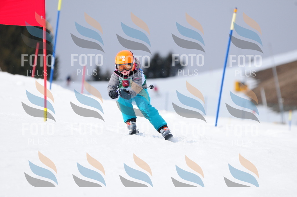 A3845 | holidayphoto