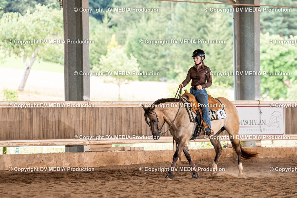 Erbach Tag 1-889 | dv-media-shop - Realisiert mit Pictrs.com