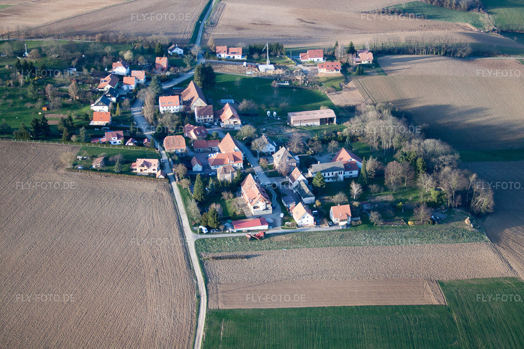 Luftbild: Ortsansicht in Steinseltz im Bundesland Bas-Rhin in Frankreich. Foto: IMG_38784.jpg vom 20.03.2011 durch Werner Riehm/FLY-FOTO.de
