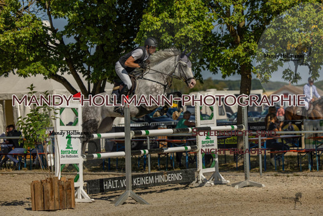 26-7-24 SPF M+-182 | mandyhollmannphotographie