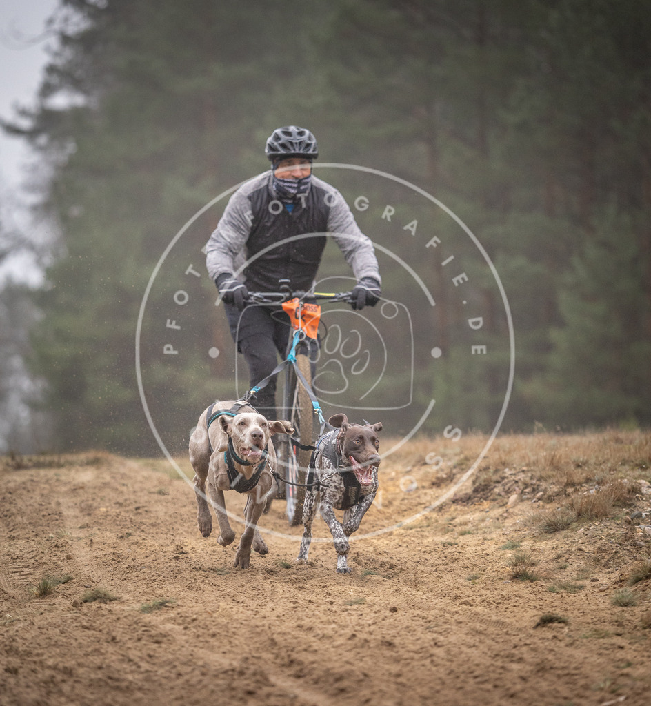 Pfotenfotografie_DV3A1093 | Hundefotografie, Tierfotograf, Pfotenfotografie, Fotoshooting Hund, Hunde Portrait, Hundesport, Hundeportraits, Heideshooting, Hunde, Sportfotograf, Hundefotograf, Turnierhundsport, THS,  - Realisiert mit Pictrs.com