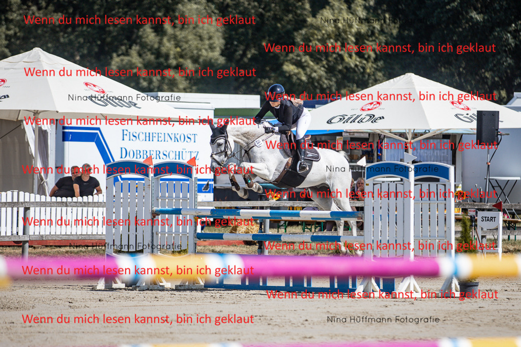 BK1A6790 | Turnierbilder Turnierfotos Nina Hüffmann Turnierfotografie Pferdefotografie Tierzeichnung Haustierzeichnung Pferdezeichnung Hundezeichnung Videograf  - Realisiert mit Pictrs.com