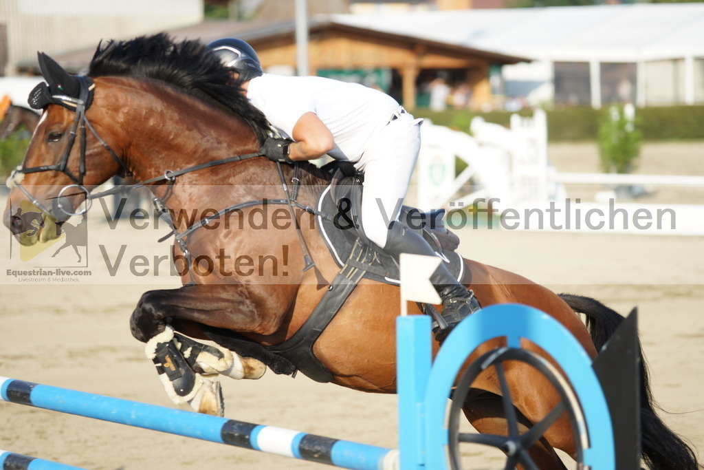 DSC00707 | equestrian-live-com