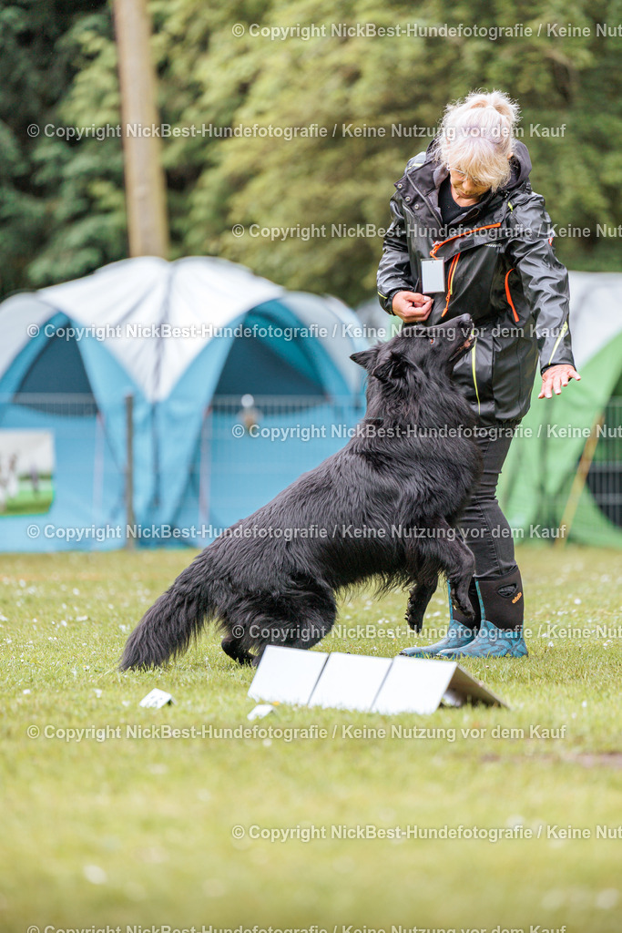 RO-Blumenthal-2026-Nickbest-Hundefotografie-1260 | Dein Hund! Dein Moment! Deine Erinnerungen! Hundefotografie in Bremen Blumenthal. Ich fange die besonderen Momente deines Vierbeiners ein – ob Indoor mit Blitzanlage oder in der freien Natur. Sicher dir dein Moment und dein Termin für eure Erinnerungen.