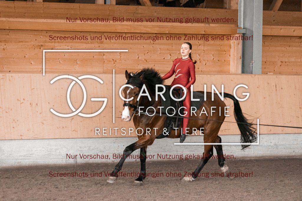 DSC_1988 | Turnierfotografin Carolin Gieschke,Reitsport Turnierfotografie Carolin G Fotografie | Turnierfotos aus Kirchheim/Teck, Esslingen, Stuttgart und dem Bodenseekreis