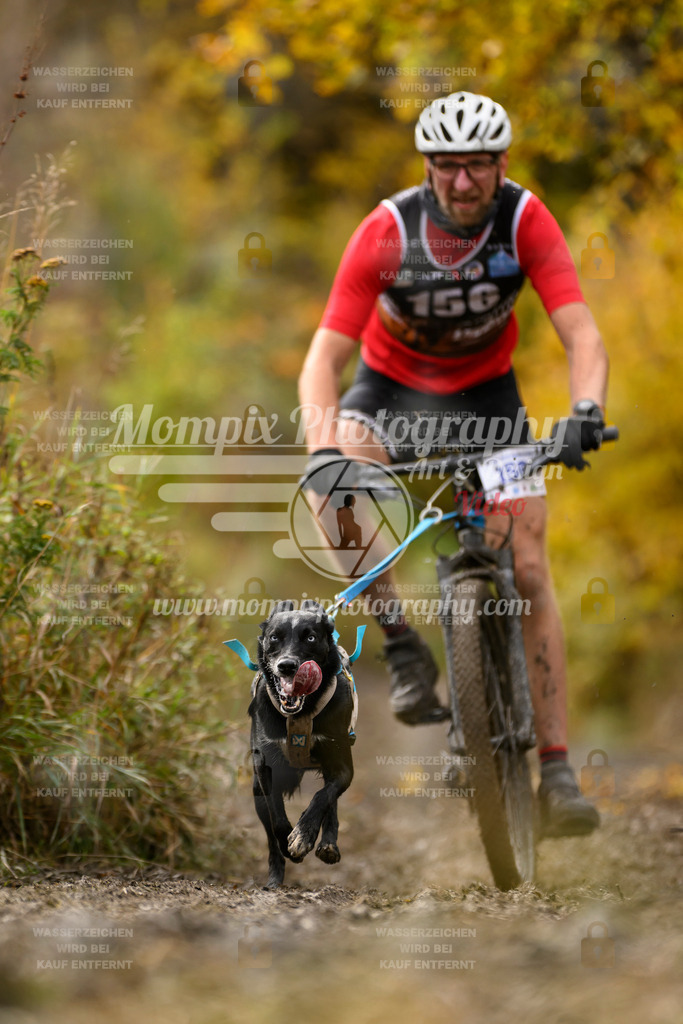 MompixPhotography_ICF_WC_2024_SA_Bike_-213 | PayLife
