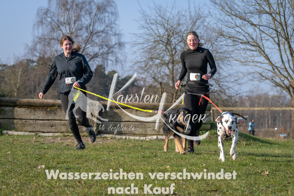 _ZZ93613 | kk-dogfotos