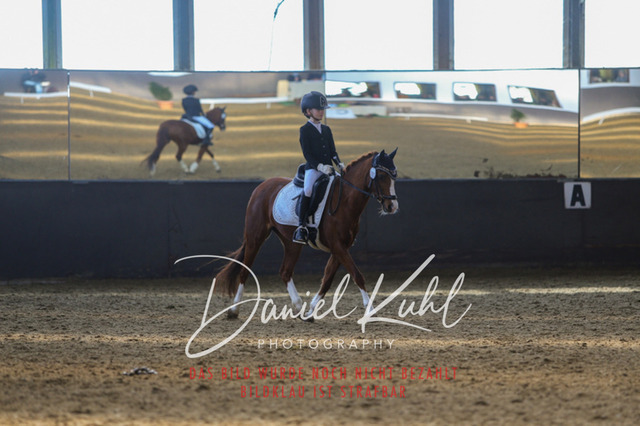 IMG_2605 | Turniersportfotografie; Pferdefotografie; Dressurfotografie