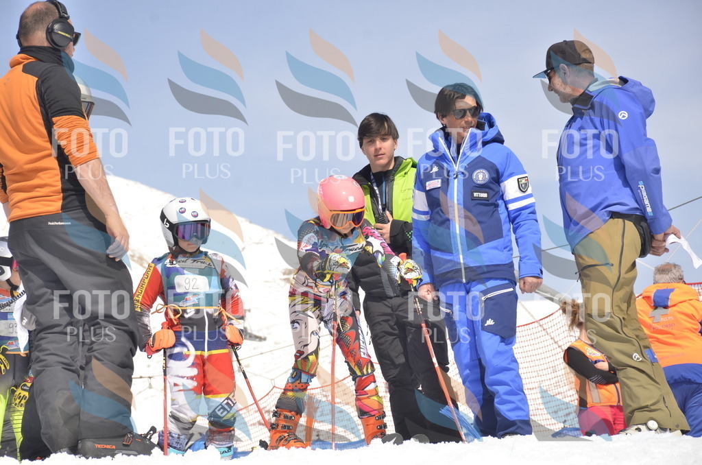 _ELE9281 | holidayphoto