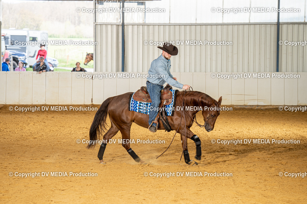 MIT01109 | dv-media-shop - Realisiert mit Pictrs.com