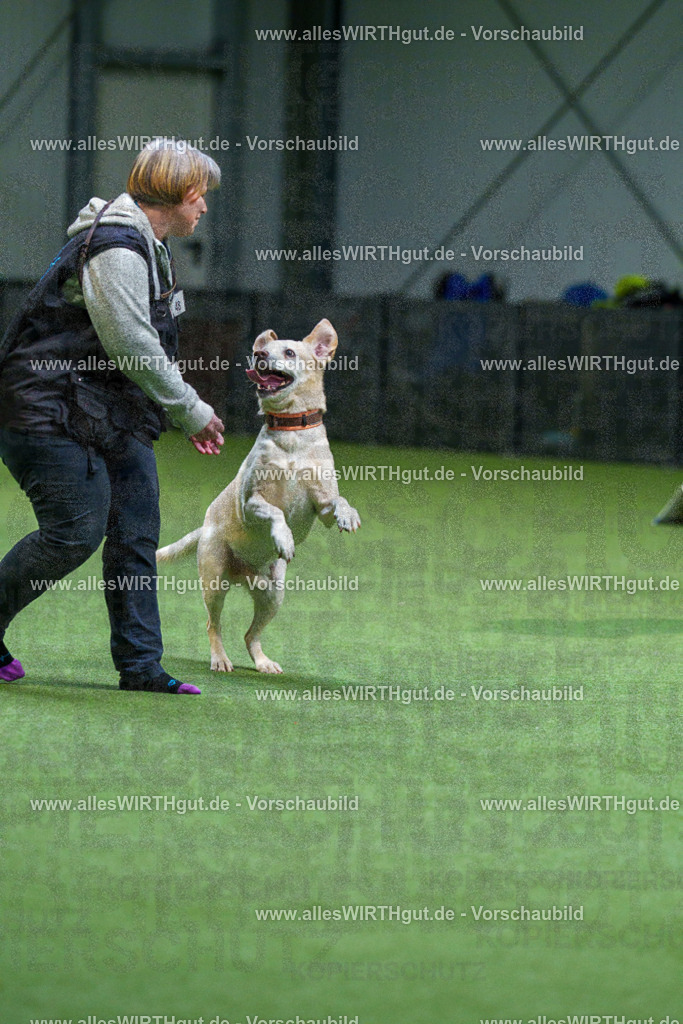 7R506339 | Professionelle Tierfotografie in Mönchengladbach von Daniel Wirth (allesWIRTHgut). Liebevolle & natürliche Bilder von Hunden & Katzen für unvergessliche Erinnerungen.