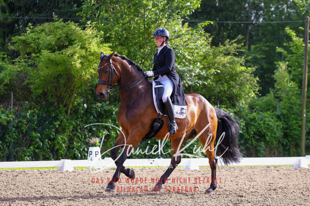 DKP41716 | Turnierfotos kaufen im Webshop von Daniel Kuhl Photography – entdecke professionelle Reitsportfotos aus Turnieren & Events. Hochwertige Turnierbilder online bestellen & sichern. Jetzt Fotos von Reitsportturnieren kaufen!