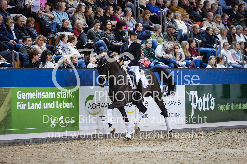 250108_Muenster_Hengstpräsentation-137 | Deine schönsten Turniermomente als professionelle Fotos! Entdecke hochwertige Pferdesport-Fotografie im Online-Shop. Jetzt Fotos finden & bestellen!