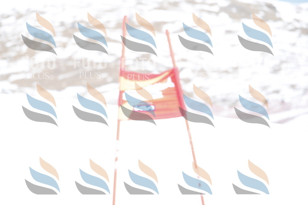 _W1G2942 | holidayphoto