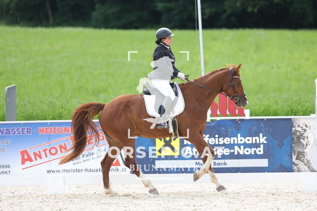 0P6A6946 | Willkommen bei Brunnmayr - Design & Fotografie – Ihrem Spezialisten für Reitturniere und Pferdeveranstaltungen in Oberösterreich, Salzburg und Bayern! Seit über 17 Jahren sind wir leidenschaftlich dabei.