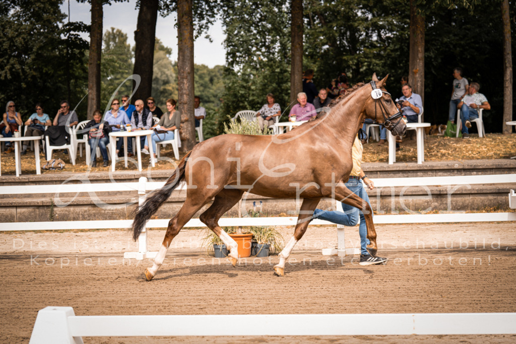 4.Fr00040 | Leoni Ertmer Photography - Realisiert mit Pictrs.com