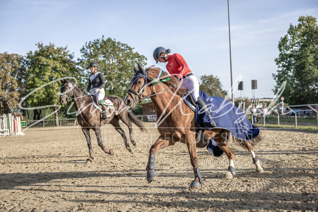 20250907-_3LI5036 | Tierfotografie Pferde, Hunde, Katzen, Haustiere.
Turnierfotografie Reitturniere, Reiten, Springreiten, Dressur in Hanau, dem Main-Kinzig-Kreis und dem Rhein-Main- Gebiet um Frankfurt