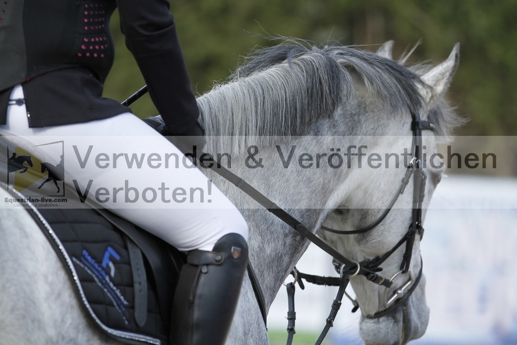 _MG_8205 | equestrian-live-com