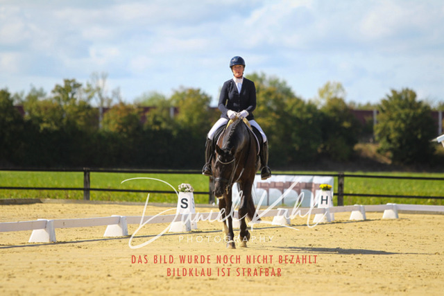 DKP45426 | Turniersportfotografie; Pferdefotografie; Dressurfotografie