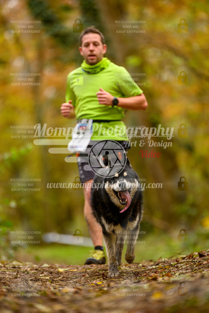MompixPhotography_Bischwiller24_SA_Canicross-103 | PayLife