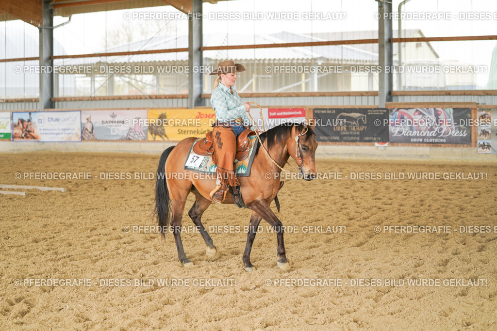 DSC04082 | Pferdegrafie