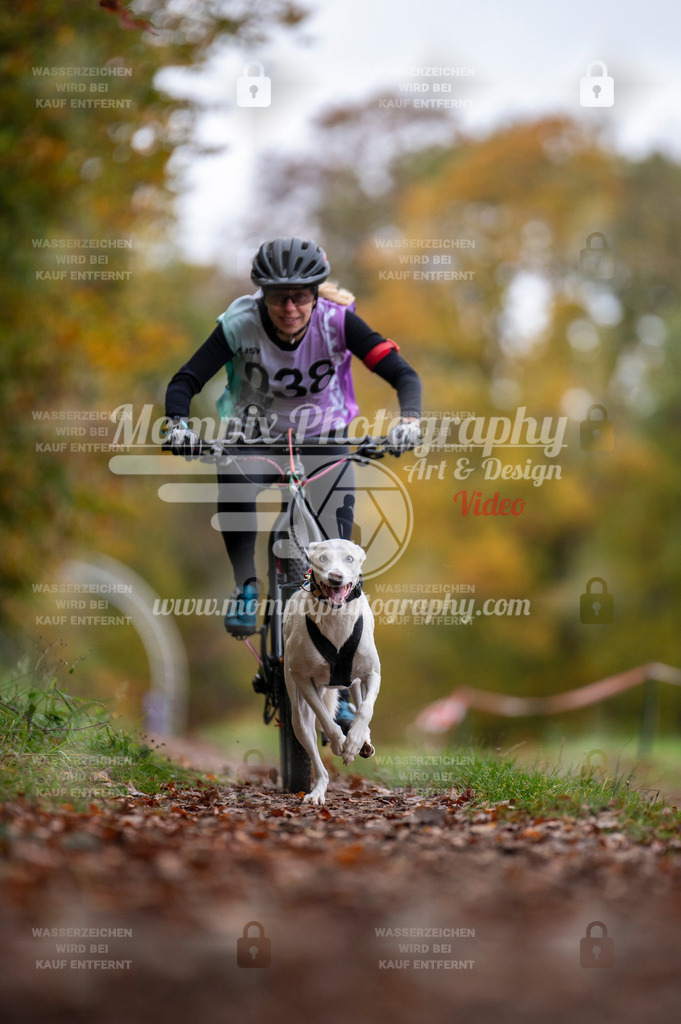 DBT_DAKM_SA_4_11_2023_Bike-55 | PayLife