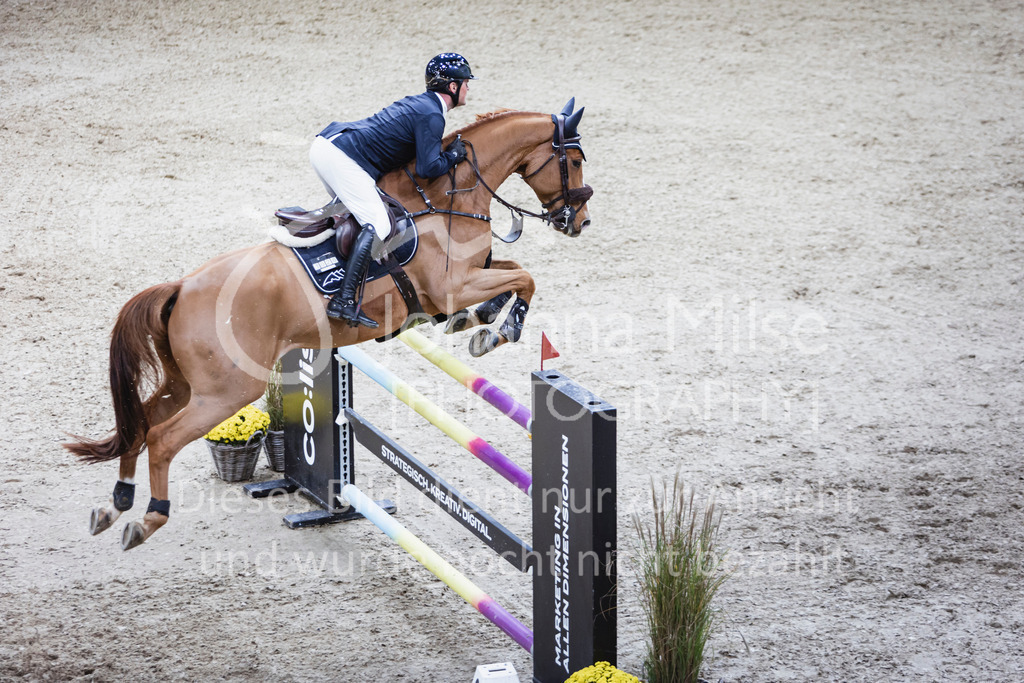 251101_OLD_S2-Spr_MT-520 | AGRAVIS Cup Oldenburg 2025 | S**-Springen | 2. Qualifikation Mittlere Tour